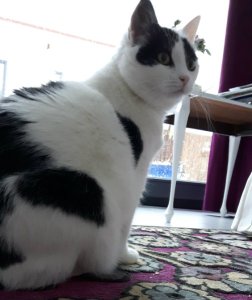 showandtellbestestgift