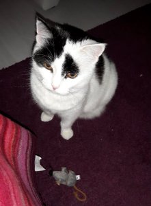 showandtellbestestgift