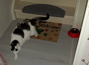 showandtellbestestgift