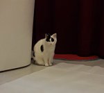 thankfulthursdaycarpet