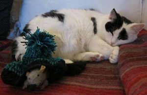 caturdayartwithbobblehat