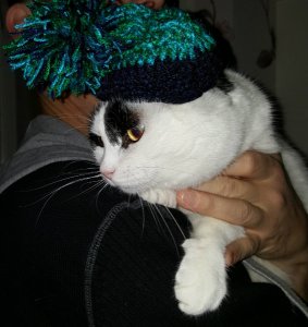 caturdayartwithbobblehat