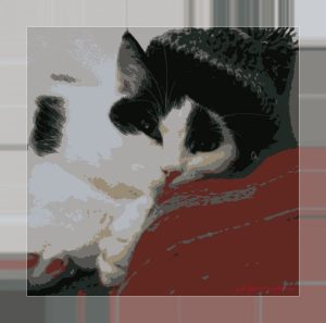 CaturdayArtwithBobbleHat