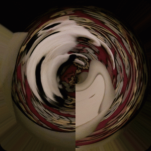 imageedit_2_3946006368