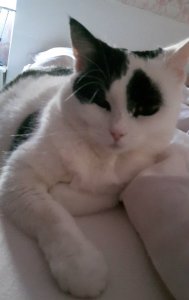 sundayselfie5-3-2017