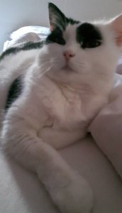 sundayselfie5-3-2017