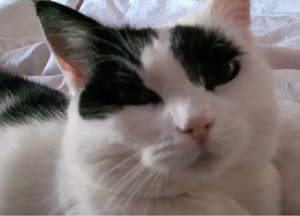 sundayselfie5-3-2017