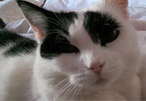 sundayselfie5-3-2017