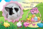 HappyEasterBunny
