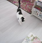 TripleThankfulandaSelfie