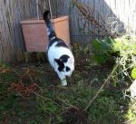 SundaySelfiesPrepurration