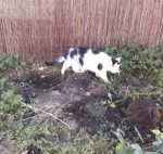 SundaySelfiesPrepurration