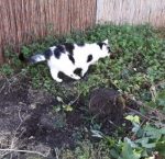 SundaySelfiesPrepurration