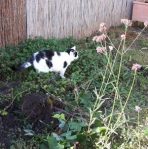 SundaySelfiesPrepurration