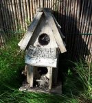 SundaySelfiesPrepurration