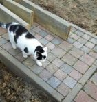 MondaySparksinmyGarden