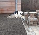 ThankfulThursdayGarden