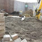 CaturdayArtGardenEpisode5