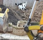 CaturdayArtGardenEpisode5