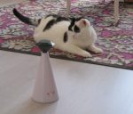 SundaySelfieswhilespinningaround