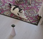 SundaySelfieswhilespinningaround