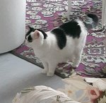 ThanksgivingThursday