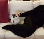 CaturdayArtsickGranny