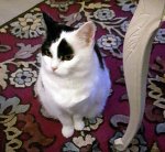 ThankfulThursdayallinone