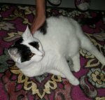 ThankfulThursdayallinone