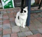 SundaySelfiesJan2018