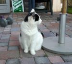 SundaySelfiesJan2018