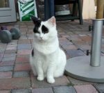 SundaySelfiesJan2018