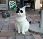 SundaySelfiesJan2018