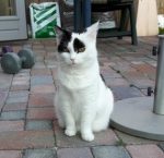 SundaySelfiesJan2018