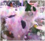 CaturdayArtSelfieSpark