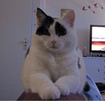 SundaySelfie18-2-2018