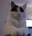 SundaySelfie18-2-2018