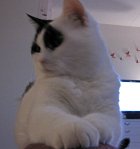 SundaySelfie18-2-2018