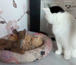 Aww…Sparks…spider