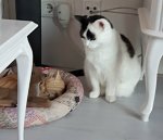 Aww…Sparks…spider