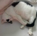 Aww…Sparksmaart2018