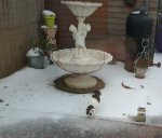 CaturdayArtwithLarry