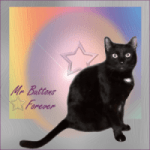 Mr-Buttons-Forever