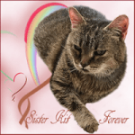Sister Kit, Forever&nbsp;(Small)