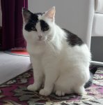 SundaySelfie8-4-2018