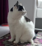 SundaySelfie8-4-2018