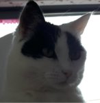 SundaySelfie8-4-2018