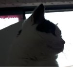 SundaySelfie8-4-2018