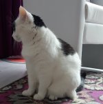 SundaySelfie8-4-2018