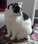 SundaySelfie8-4-2018